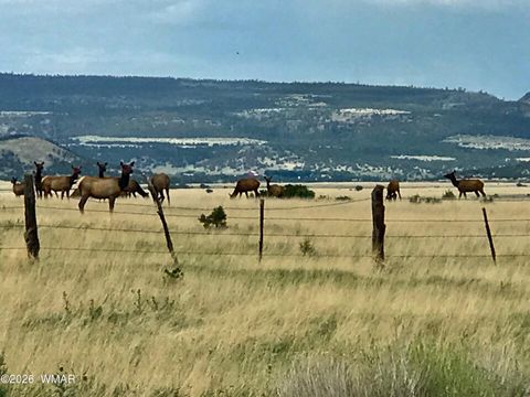 Tiny photo for 0 Tract E TBD, Nutrioso, AZ 85932 (MLS # 259871)