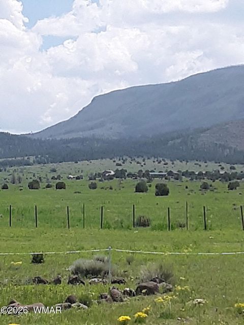 Tiny photo for 0 Tract E TBD, Nutrioso, AZ 85932 (MLS # 259871)