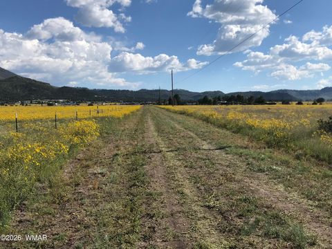 Tiny photo for 0 Tract E TBD, Nutrioso, AZ 85932 (MLS # 259871)