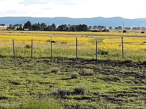 Tiny photo for 0 Tract E TBD, Nutrioso, AZ 85932 (MLS # 259871)