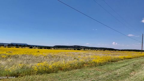 Tiny photo for 0 Tract E TBD, Nutrioso, AZ 85932 (MLS # 259871)