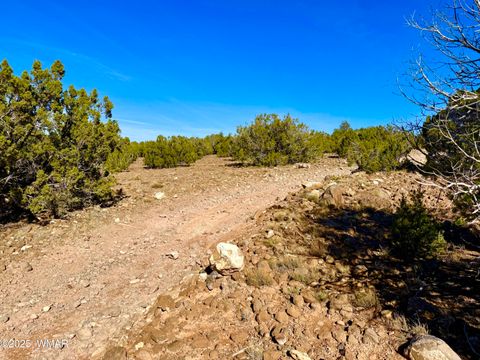 Tiny photo for TBD Kirkland DR 20 Acres, Concho, AZ 85924 (MLS # 258779)