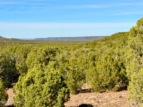Photo of TBD Kirkland DR 20 Acres, Concho, AZ 85924 (MLS # 258779)