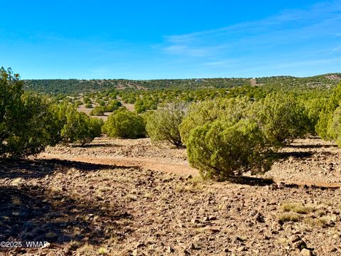 Tiny photo for TBD Kirkland DR 20 Acres, Concho, AZ 85924 (MLS # 258779)