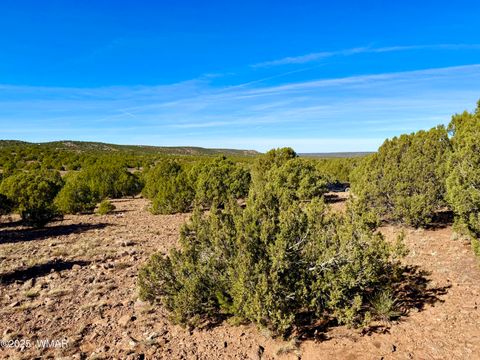 Tiny photo for TBD Kirkland DR 20 Acres, Concho, AZ 85924 (MLS # 258779)
