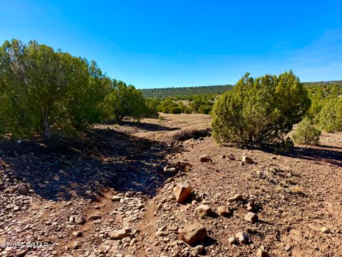 Tiny photo for TBD Kirkland DR 20 Acres, Concho, AZ 85924 (MLS # 258779)