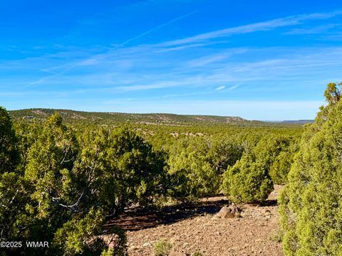 Tiny photo for TBD Kirkland DR 20 Acres, Concho, AZ 85924 (MLS # 258779)