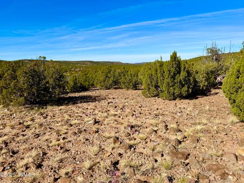 Tiny photo for TBD Kirkland DR 20 Acres, Concho, AZ 85924 (MLS # 258779)