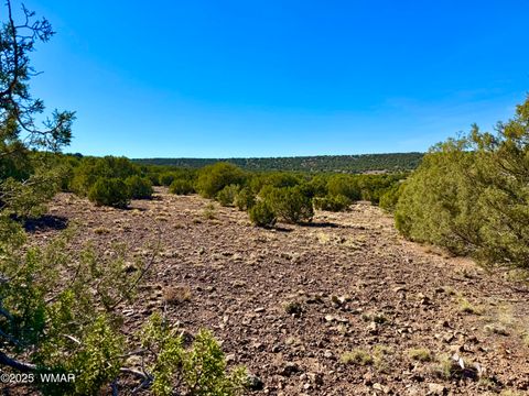 Tiny photo for TBD Kirkland DR 20 Acres, Concho, AZ 85924 (MLS # 258779)