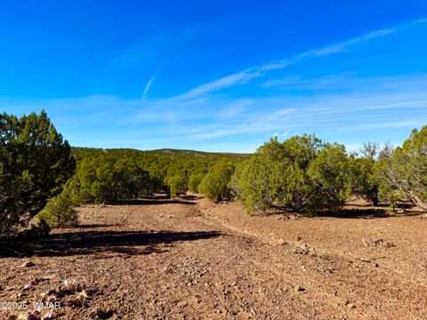 Tiny photo for TBD Kirkland DR 20 Acres, Concho, AZ 85924 (MLS # 258779)