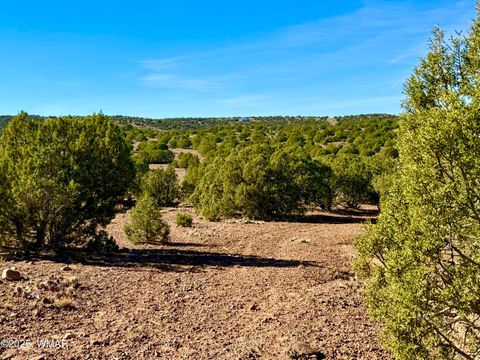 Tiny photo for TBD Kirkland DR 20 Acres, Concho, AZ 85924 (MLS # 258779)