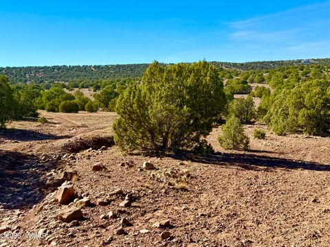 Tiny photo for TBD Kirkland DR 20 Acres, Concho, AZ 85924 (MLS # 258779)
