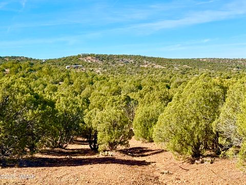 Tiny photo for TBD Kirkland DR 20 Acres, Concho, AZ 85924 (MLS # 258779)
