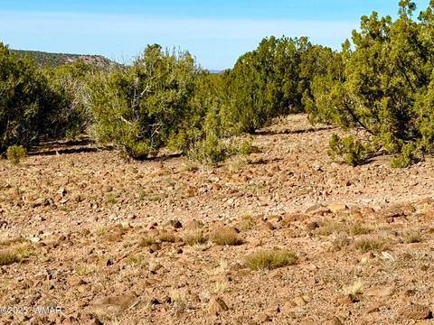 Tiny photo for TBD Kirkland DR 20 Acres, Concho, AZ 85924 (MLS # 258779)