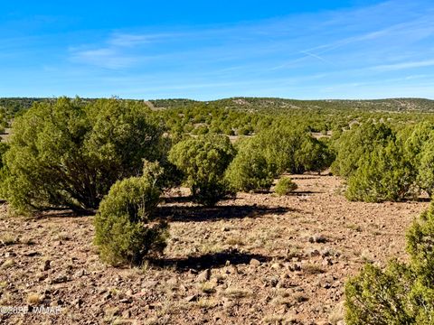 Tiny photo for TBD Kirkland DR 20 Acres, Concho, AZ 85924 (MLS # 258779)