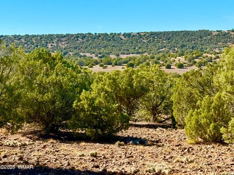 Tiny photo for TBD Kirkland DR 20 Acres, Concho, AZ 85924 (MLS # 258779)