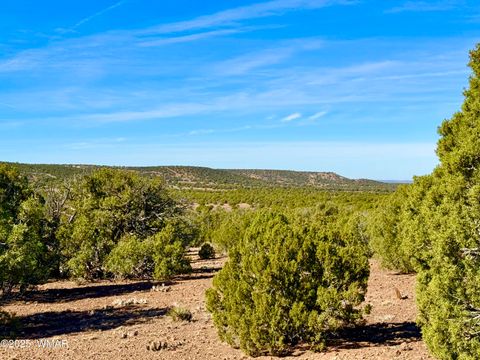 Tiny photo for TBD Kirkland DR 20 Acres, Concho, AZ 85924 (MLS # 258779)