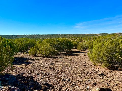 Tiny photo for TBD Kirkland DR 20 Acres, Concho, AZ 85924 (MLS # 258779)