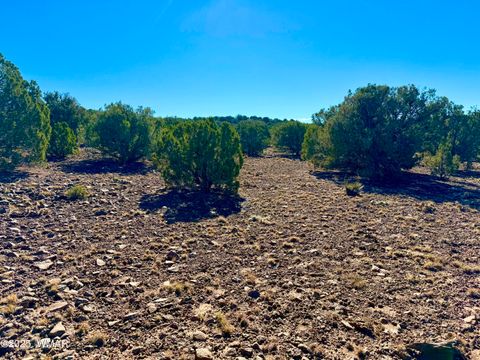 Tiny photo for TBD Kirkland DR 20 Acres, Concho, AZ 85924 (MLS # 258779)