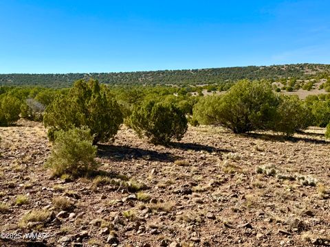 Tiny photo for TBD Kirkland DR 20 Acres, Concho, AZ 85924 (MLS # 258779)