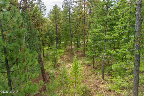 Photo of 29 N1068, Greer, AZ 85927 (MLS # 260304)