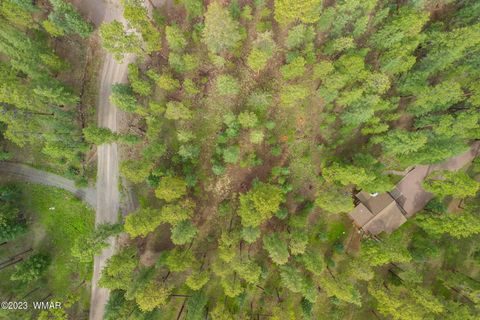 Tiny photo for 29 N1068, Greer, AZ 85927 (MLS # 260304)