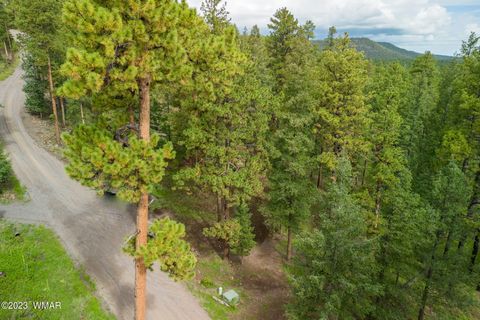 Tiny photo for 29 N1068, Greer, AZ 85927 (MLS # 260304)