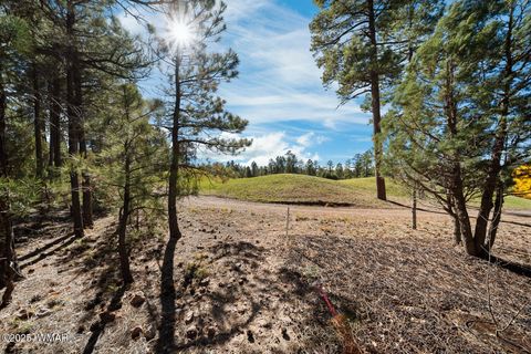 Tiny photo for 4531 W Fox Glove Lane, Show Low, AZ 85901 (MLS # 258613)