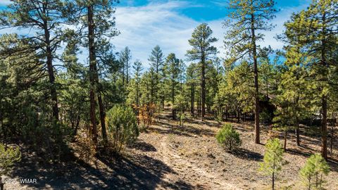 Tiny photo for 4531 W Fox Glove Lane, Show Low, AZ 85901 (MLS # 258613)