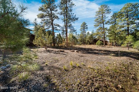 Tiny photo for 4531 W Fox Glove Lane, Show Low, AZ 85901 (MLS # 258613)