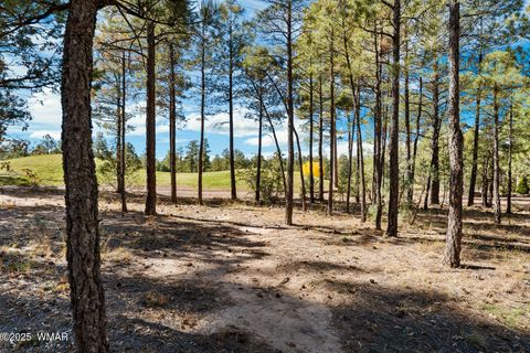 Tiny photo for 4531 W Fox Glove Lane, Show Low, AZ 85901 (MLS # 258613)