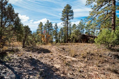 Tiny photo for 4531 W Fox Glove Lane, Show Low, AZ 85901 (MLS # 258613)