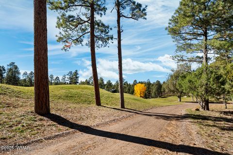 Tiny photo for 4531 W Fox Glove Lane, Show Low, AZ 85901 (MLS # 258613)