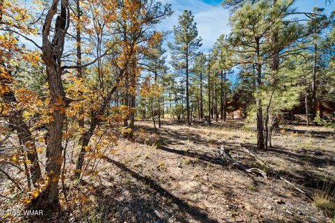 Tiny photo for 4531 W Fox Glove Lane, Show Low, AZ 85901 (MLS # 258613)