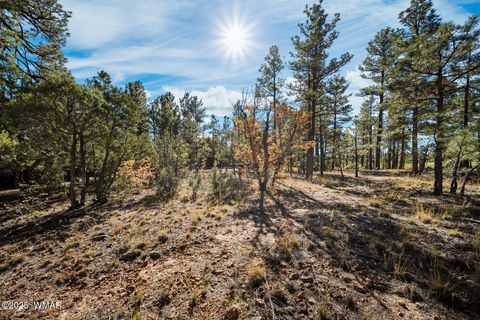 Tiny photo for 4531 W Fox Glove Lane, Show Low, AZ 85901 (MLS # 258613)