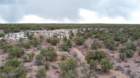 Tiny photo for 9133 Ridge View Lane, Snowflake, AZ 85937 (MLS # 256446)
