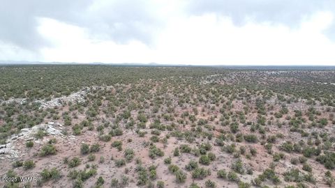 Tiny photo for 9133 Ridge View Lane, Snowflake, AZ 85937 (MLS # 256446)