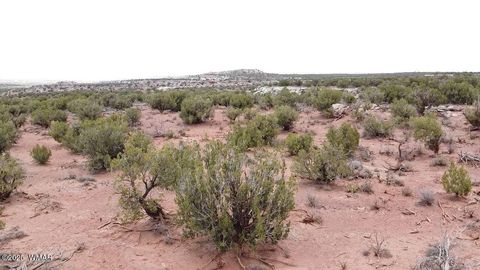 Tiny photo for 9133 Ridge View Lane, Snowflake, AZ 85937 (MLS # 256446)