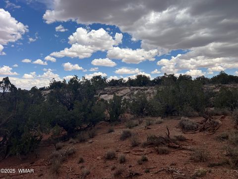Tiny photo for 9133 Ridge View Lane, Snowflake, AZ 85937 (MLS # 256446)