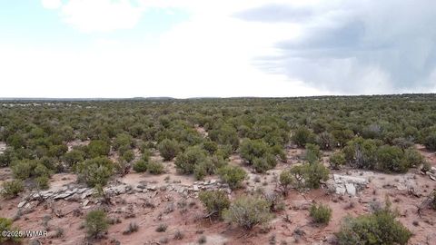 Tiny photo for 9133 Ridge View Lane, Snowflake, AZ 85937 (MLS # 256446)