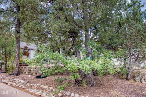 Tiny photo for 2201 E Quarter Horse Way, Show Low, AZ 85901 (MLS # 256916)