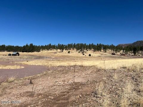 Tiny photo for 6 County Road 2331, Alpine, AZ 85920 (MLS # 255395)