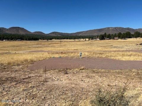 Tiny photo for 6 County Road 2331, Alpine, AZ 85920 (MLS # 255395)