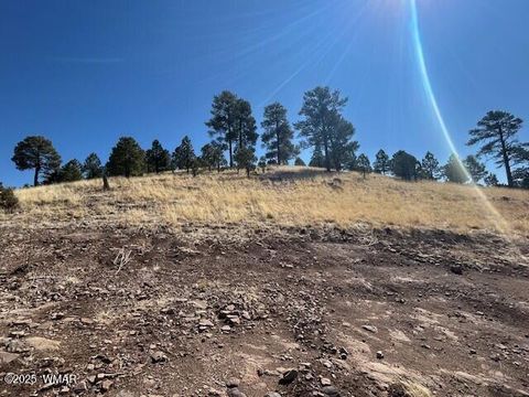 Tiny photo for 6 County Road 2331, Alpine, AZ 85920 (MLS # 255395)
