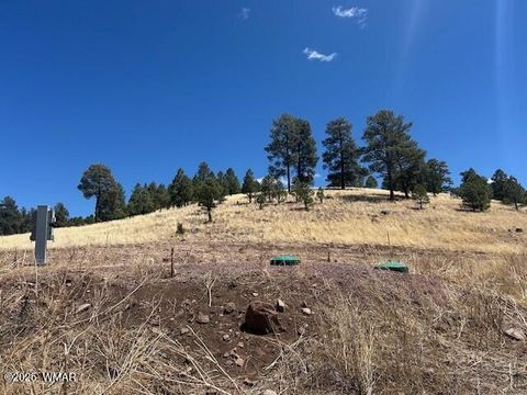 Photo of 6 County Road 2331, Alpine, AZ 85920 (MLS # 255395) Photo of 6 County Road 2331, Alpine, AZ 85920 (MLS # 255395)