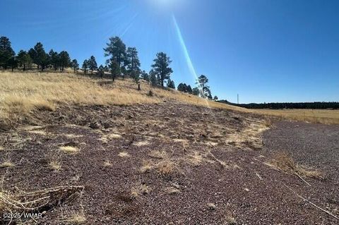 Tiny photo for 6 County Road 2331, Alpine, AZ 85920 (MLS # 255395)