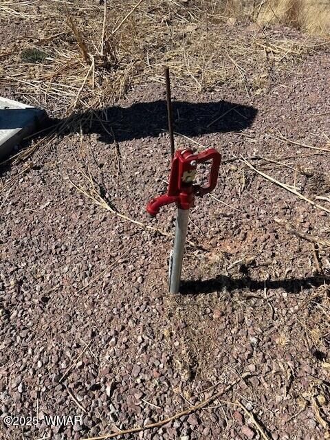 Tiny photo for 6 County Road 2331, Alpine, AZ 85920 (MLS # 255395)