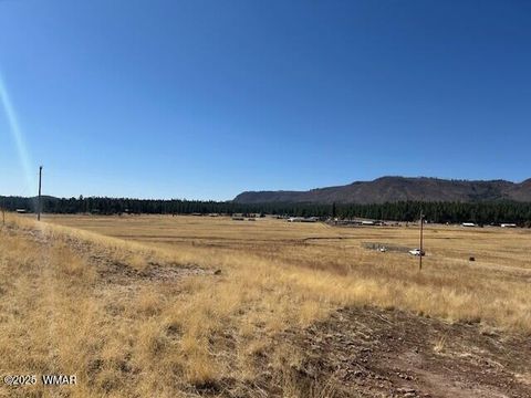 Tiny photo for 6 County Road 2331, Alpine, AZ 85920 (MLS # 255395)