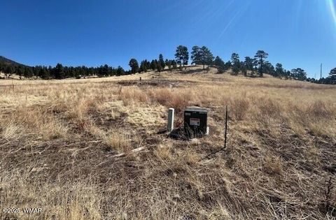 Tiny photo for 6 County Road 2331, Alpine, AZ 85920 (MLS # 255395)