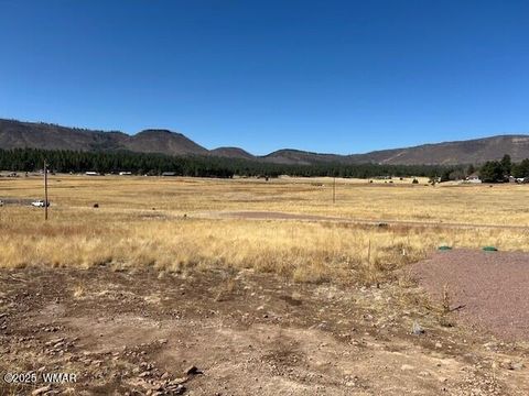 Tiny photo for 6 County Road 2331, Alpine, AZ 85920 (MLS # 255395)
